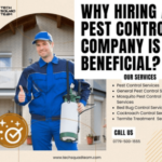 Bed Bug Control Services in Bangalore