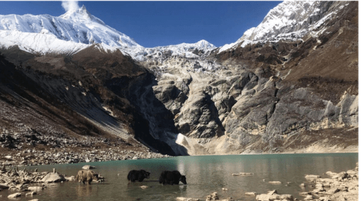 Manaslu Circuit Trek